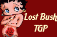 lostbush.com